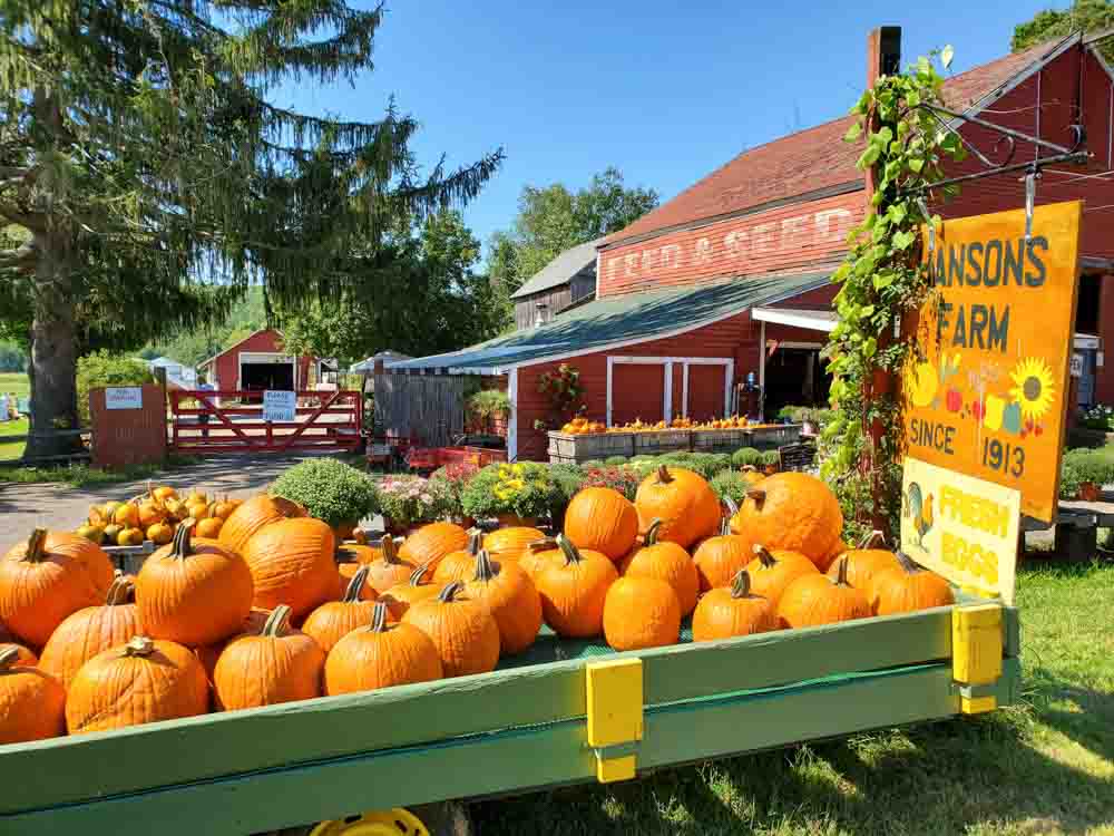 Photo of Hanson&#039;s Farm in autumn, with sign over some pumpkins and barn in the background