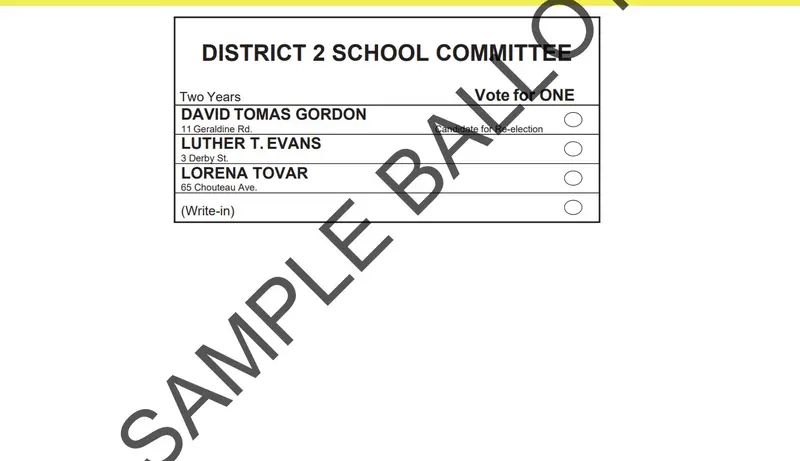 image of part of a sample ballot for the District 2 preliminary election
