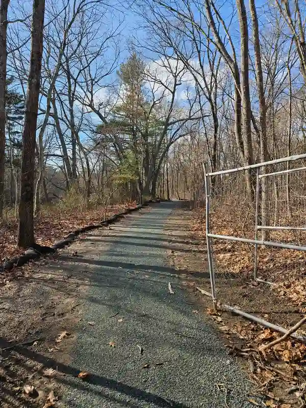 Trail heading into the woods