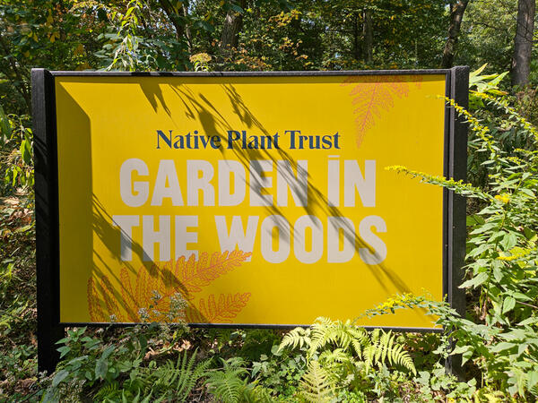 Sign that says 'Native Plant Trust Garden in the Woods'